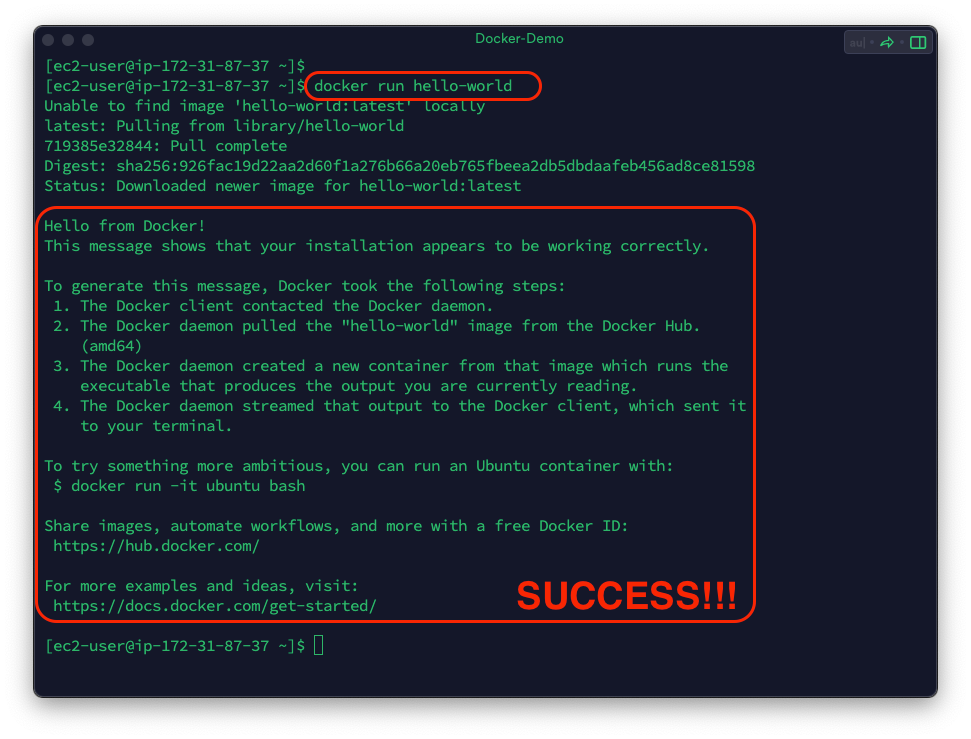 run hello-world docker image