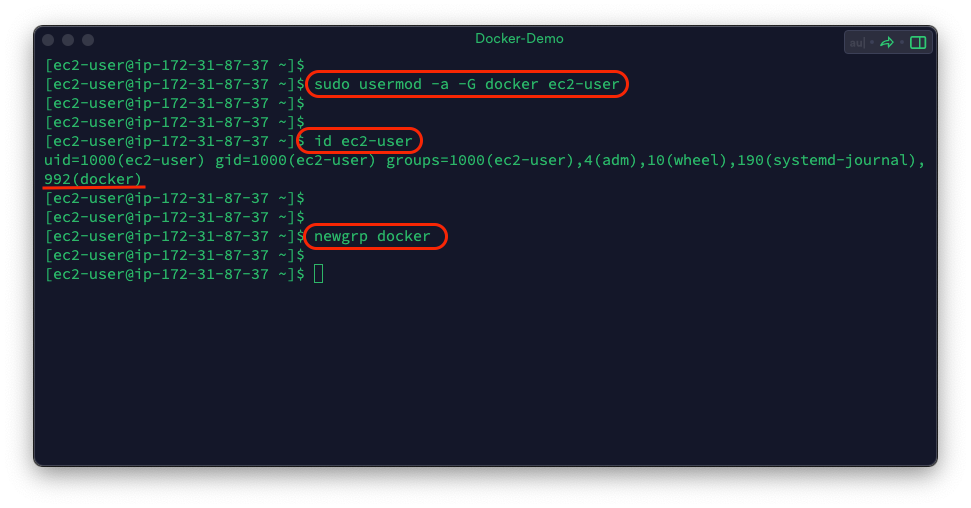Run a docker container without sudo
