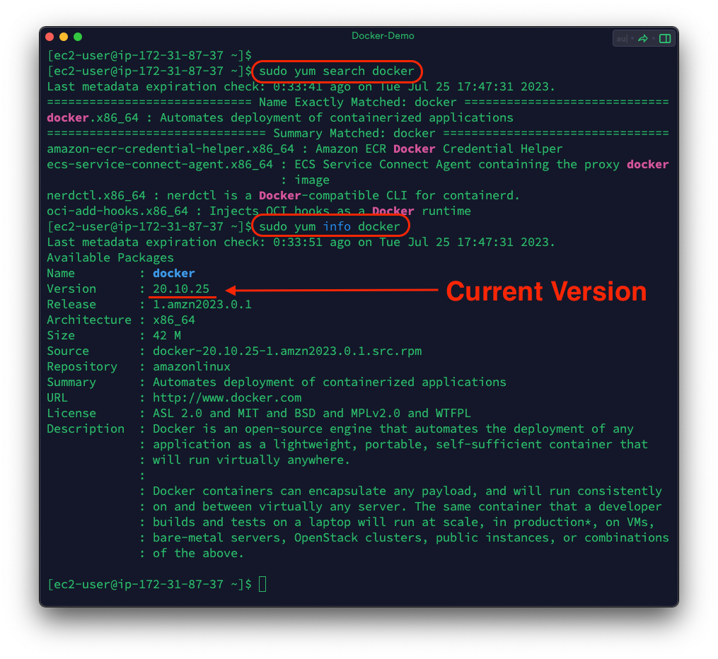 verify docker version
