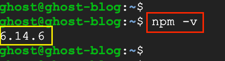 check NPM version