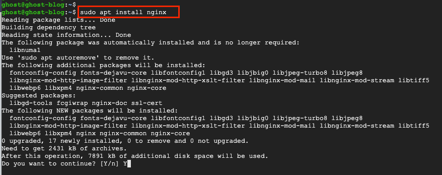 Install NGINX