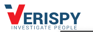 Verispy logo